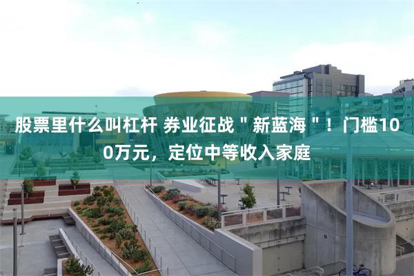 股票里什么叫杠杆 券业征战＂新蓝海＂！门槛100万元，定位中等收入家庭