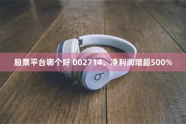 股票平台哪个好 002714，净利润增超500%