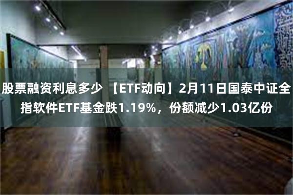 股票融资利息多少 【ETF动向】2月11日国泰中证全指软件ETF基金跌1.19%，份额减少1.03亿份