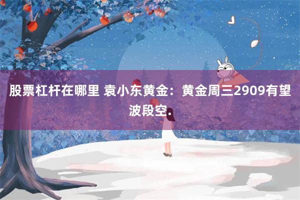 股票杠杆在哪里 袁小东黄金：黄金周三2909有望波段空.