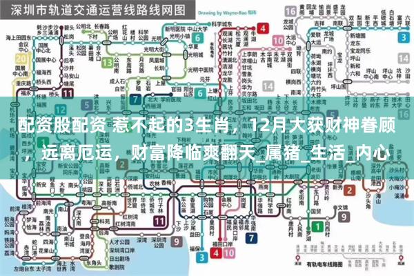 配资股配资 惹不起的3生肖，12月大获财神眷顾，远离厄运，财富降临爽翻天_属猪_生活_内心