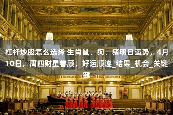 杠杆炒股怎么选择 生肖鼠、狗、猪明日运势，4月10日，周四财星眷顾，好运顺遂_结果_机会_关键
