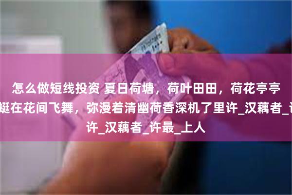 怎么做短线投资 夏日荷塘，荷叶田田，荷花亭亭玉立，蜻蜓在花间飞舞，弥漫着清幽荷香深机了里许_汉藕者_许最_上人