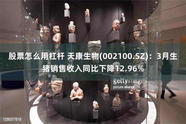股票怎么用杠杆 天康生物(002100.SZ)：3月生猪销售收入同比下降12.96%