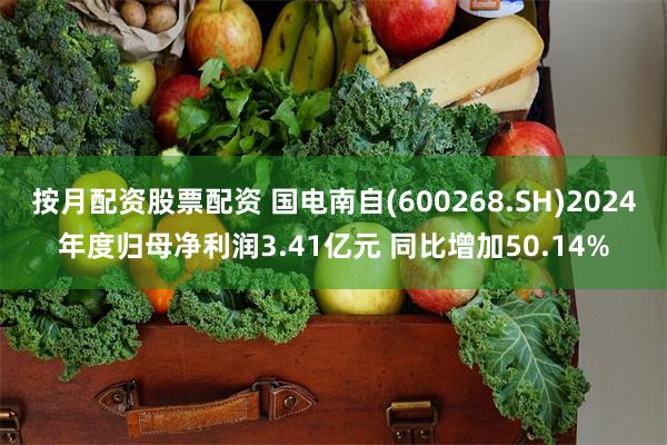 按月配资股票配资 国电南自(600268.SH)2024年度归母净利润3.41亿元 同比增加50.14%