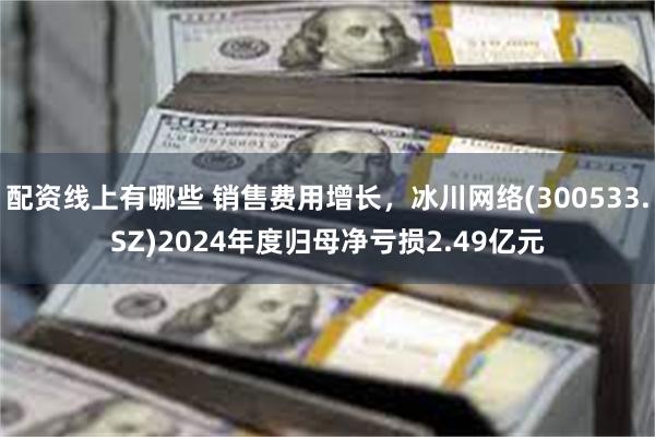 配资线上有哪些 销售费用增长，冰川网络(300533.SZ)2024年度归母净亏损2.49亿元