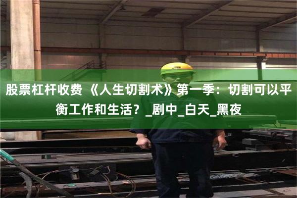 股票杠杆收费 《人生切割术》第一季：切割可以平衡工作和生活？_剧中_白天_黑夜