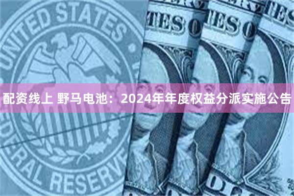 配资线上 野马电池：2024年年度权益分派实施公告