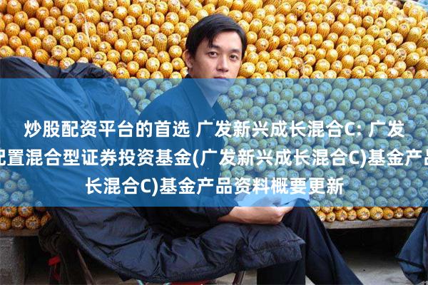 炒股配资平台的首选 广发新兴成长混合C: 广发新兴成长灵活配置混合型证券投资基金(广发新兴成长混合C)基金产品资料概要更新