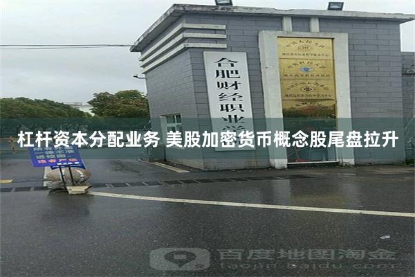 杠杆资本分配业务 美股加密货币概念股尾盘拉升
