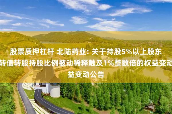 股票质押杠杆 北陆药业: 关于持股5%以上股东因可转债转股持股比例被动稀释触及1%整数倍的权益变动公告