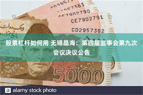 股票杠杆如何用 无锡晶海：第四届监事会第九次会议决议公告