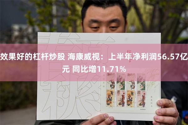 效果好的杠杆炒股 海康威视：上半年净利润56.57亿元 同比增11.71%