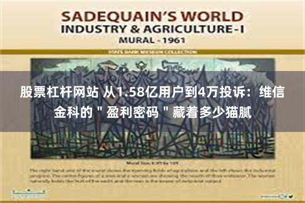 股票杠杆网站 从1.58亿用户到4万投诉：维信金科的＂盈利密码＂藏着多少猫腻