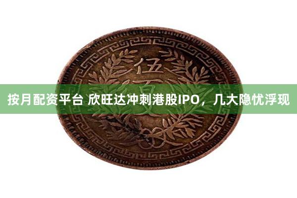 按月配资平台 欣旺达冲刺港股IPO，几大隐忧浮现