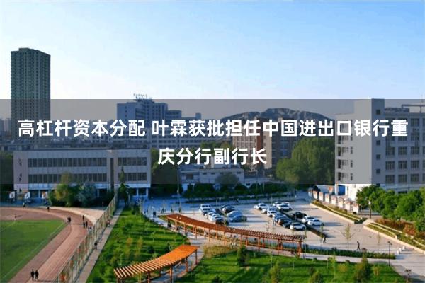 高杠杆资本分配 叶霖获批担任中国进出口银行重庆分行副行长