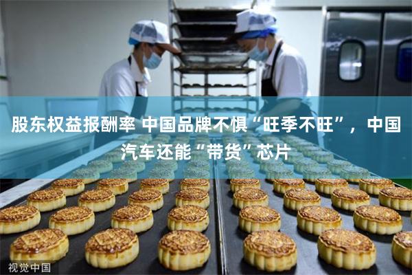 股东权益报酬率 中国品牌不惧“旺季不旺”，中国汽车还能“带货”芯片